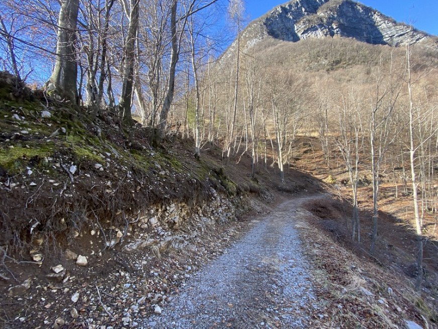 Pra de Cas, Longarone, ,Rustico,Vendita,Pra de Cas,1186