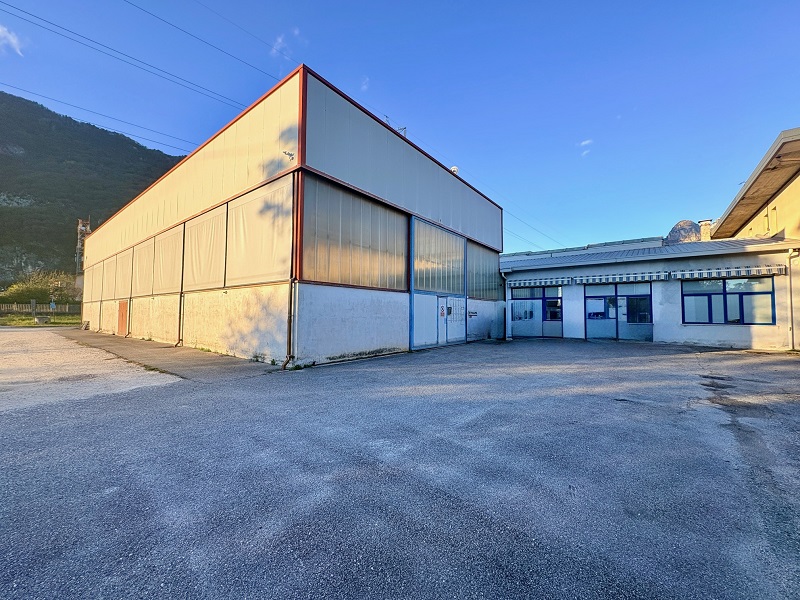 78 Viale Cadore, Ponte Nelle Alpi, ,Capannone,Vendita,Viale Cadore,1203