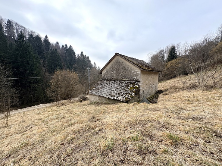 snc Funesia, Chies D’Alpago, ,Rustico,Vendita,Funesia,1213