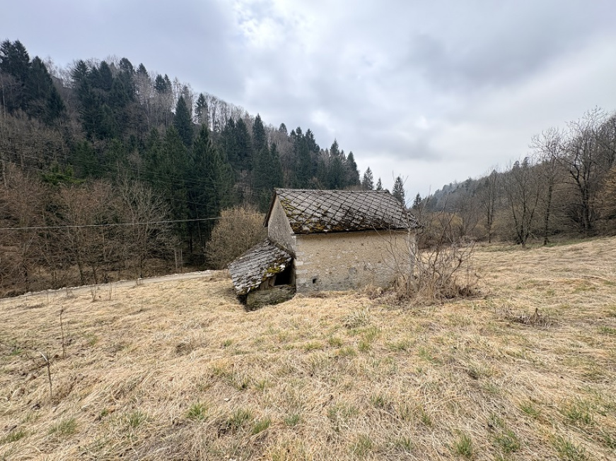 snc Funesia, Chies D’Alpago, ,Rustico,Vendita,Funesia,1213